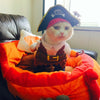 Image of Funny Pirate Suit for your Cat or Dog - Halloween Costume