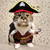 Image of Funny Pirate Suit for your Cat or Dog - Halloween Costume