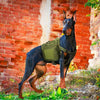 Image of Military Tactical Dog Harness For Medium and Large Dogs